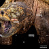 Alligator Snapping Turtle Tongue - Get to know the amazing wildlife in your backyard and beyond.