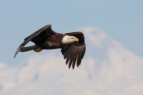 CLICK PARA ENTRAR Y VER MAS FOTOGRAFIAS