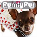 Funny Fur