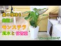 [コンプリート！] モンステラ 花言葉 意味 898513-モンステラ 花言葉 意味