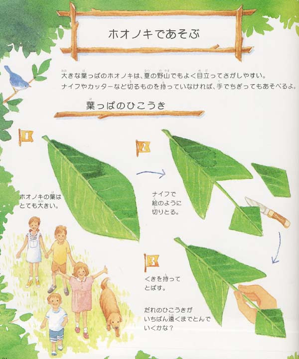 自然学校 森の学校 本のご案内 楽しい草花あそび