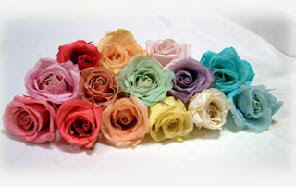 プリザーブドフラワー制作溶液