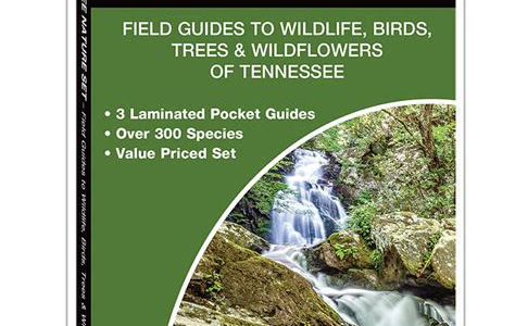 Free Download Tennessee Nature Set: Field Guides to Wildlife, Birds, Trees & Wildflowers of Tennessee (Pocket Naturalist Guide) Best Sellers PDF