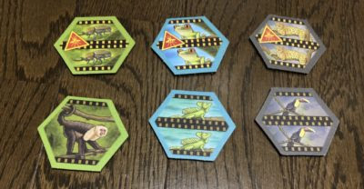知らなきゃ損 隠れた名作ボードゲーム特集 Board Game To Life