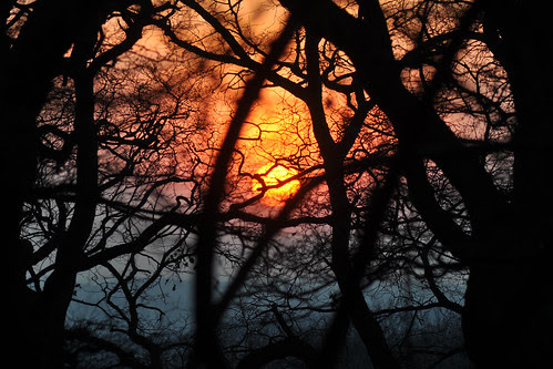 Sunset from Shooter's Hill
