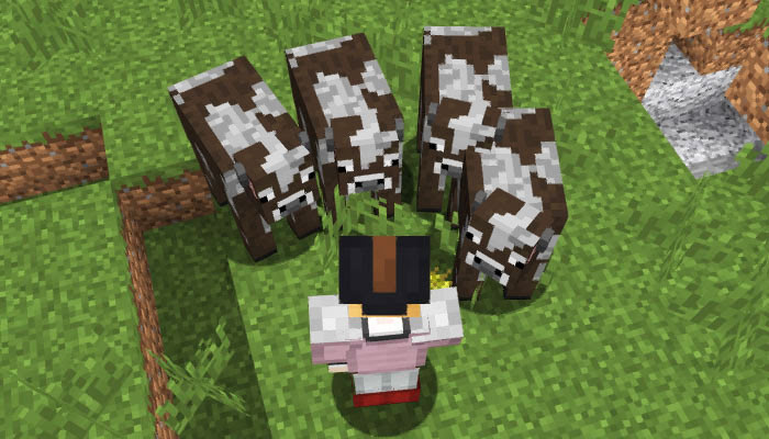マインクラフトpc Pe 牛の入手方法と繁殖の仕方 ステーキの効果について マイクラモール