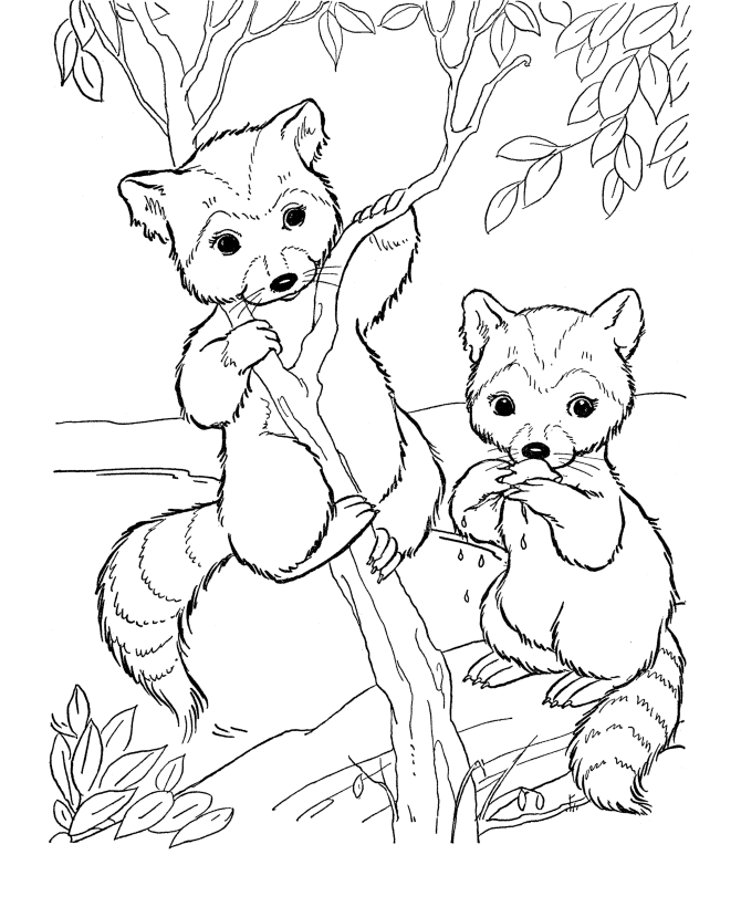 Download All animals coloring pages download and print for free