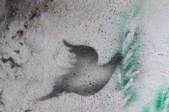 Via Dolorosa - 14 dove