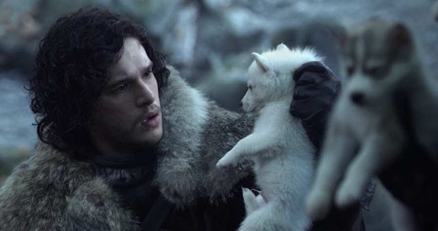 game of thrones, dogs, dog names, direwolf, direwolves