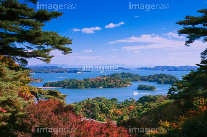 西行戻しの松公園より紅葉と松島 の画像素材 写真素材ならイメージナビ