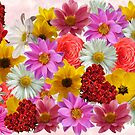 collage floral by toady8