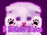 Miss You Myspace Comments