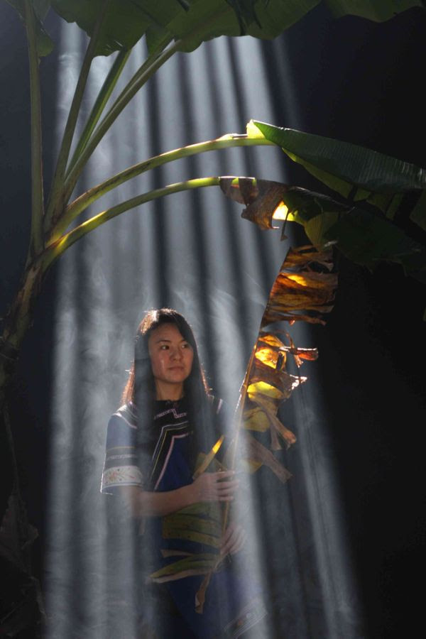 Sunbeams (26 pics)