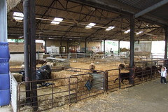 Bocketts Farm #13