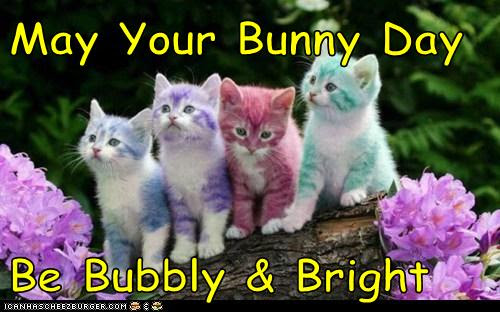 May Your Bunny Day  Be Bubbly & Bright