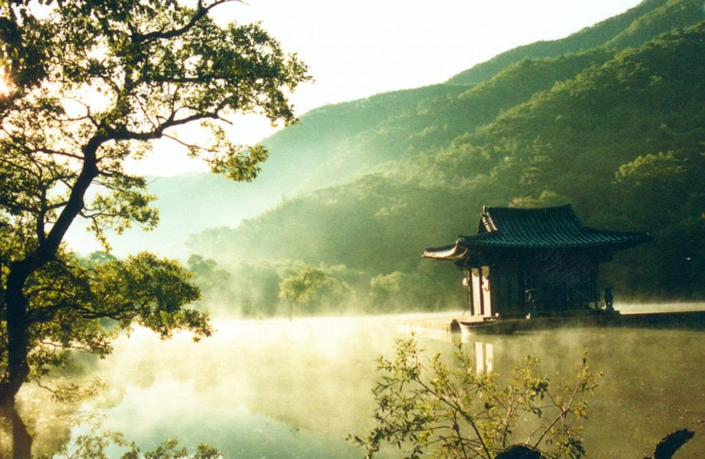 Fiecare Anotimp Cu Dramele Sale Caiet De Insemnari