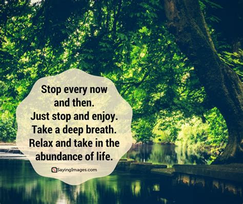 beautiful nature quotes sayingimagescom