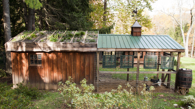 Sustainable chicken coop - Eclectic - Exterior - philadelphia - by 