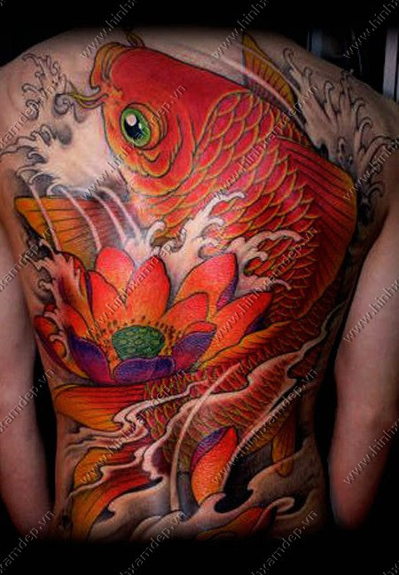 Hình xăm cá chép tattoo ở lưng đẹp