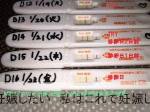 妊娠した時の排卵検査薬まとめ 妊娠したい 私はこれで妊娠しました