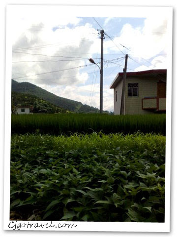 Village