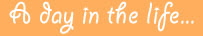 a day in the life on I SAW YOUR NANNY