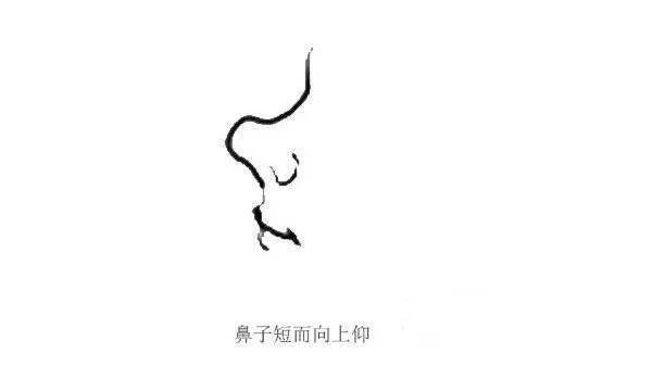 富不富看鼻子 這幾種面相的人往往都很有錢 真凖