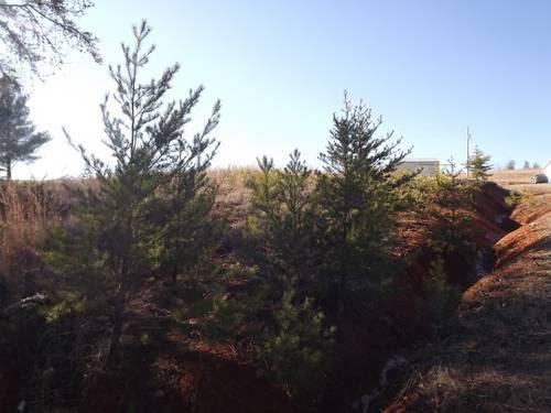 93 acre Parcel of Land - Own for /month for sale in Germanton, North 