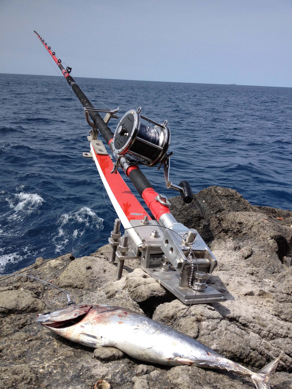 7 13 クエヽ ﾉ 新 釣莉王の世界を釣る