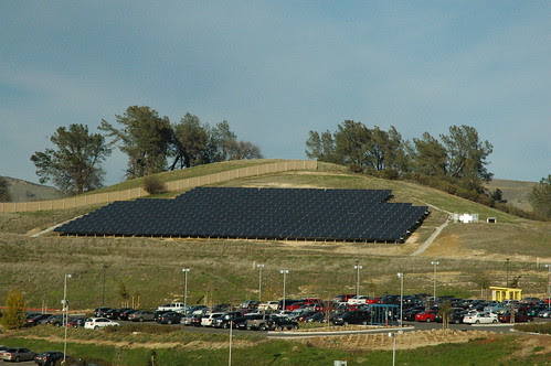 Sun farm