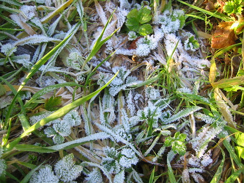 midwinter