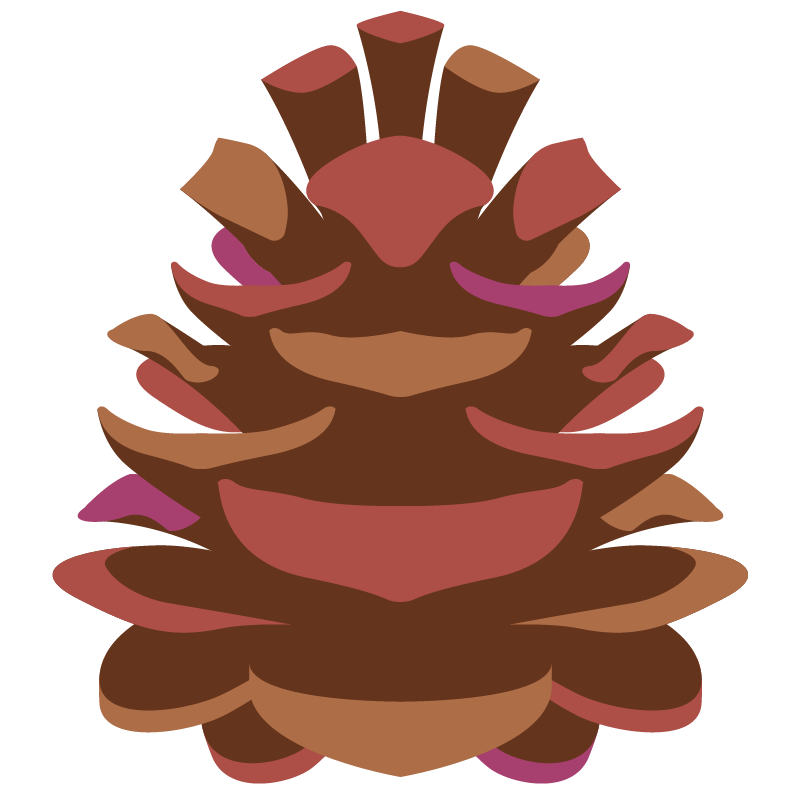 商用フリー 無料イラスト 秋 松ぼっくり 松かさ Pinecone 商用ok フリー素材集 ナイスなイラスト