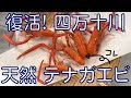 √完了しました！ 川エビ から揚げ 233317-川えび から揚げ レシピ