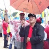 imgbox