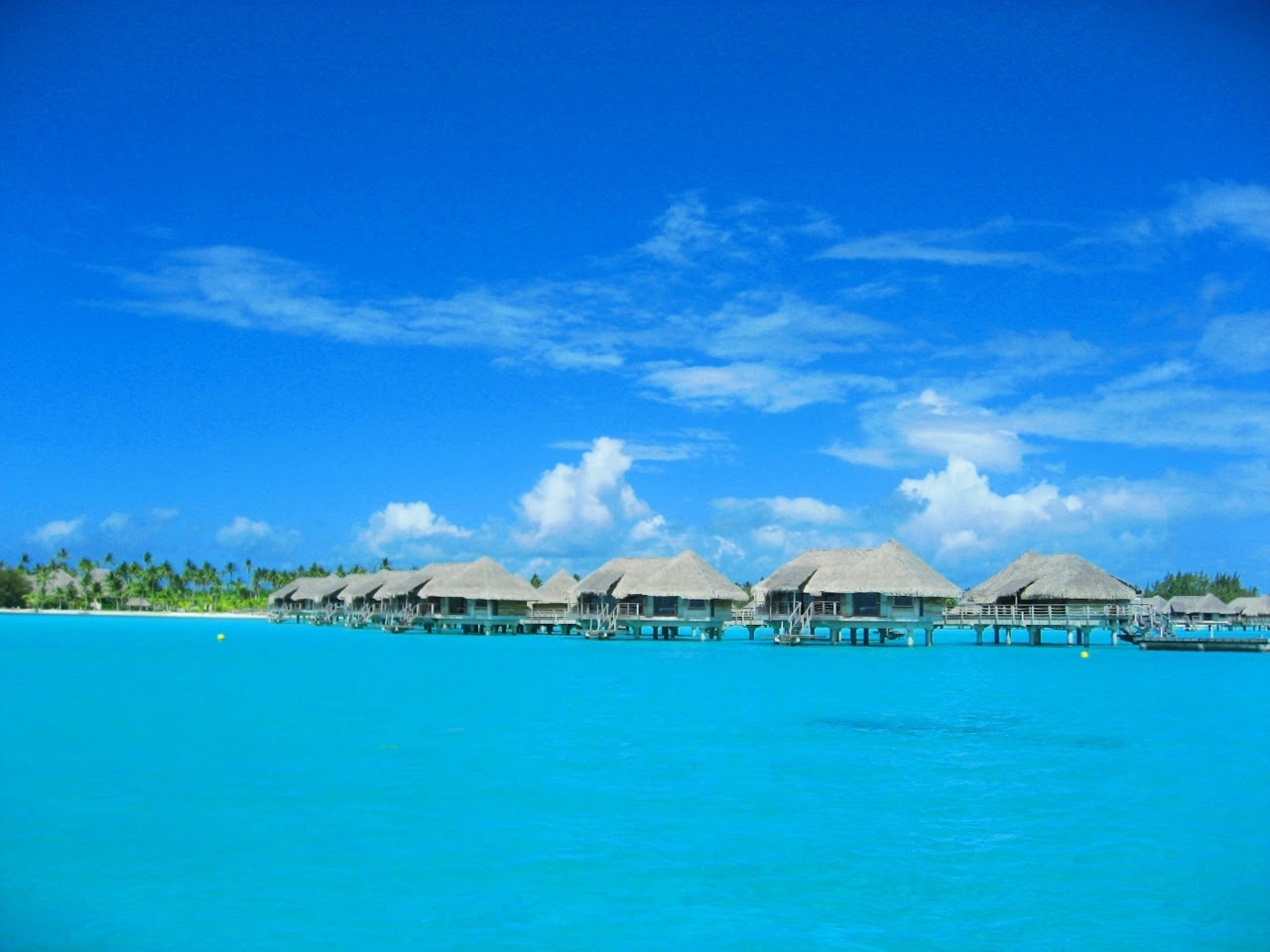 http://25.media.tumblr.com/tumblr_lzhwjpgUjf1roluw4o1_1280.jpg