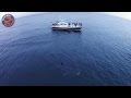 Basking Shark And Minke Whale Surveys In Scottish Waters