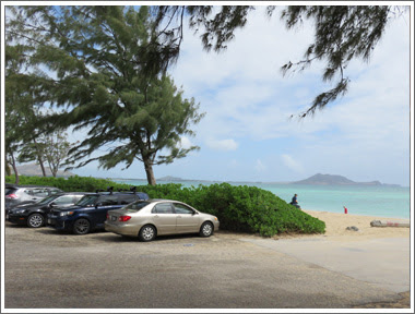 カイヴァリッジ トレイル Kaiwa Ridge Trail ａｋｏの航海日誌