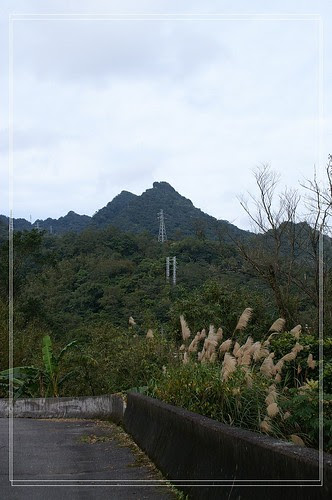 PICT0247
