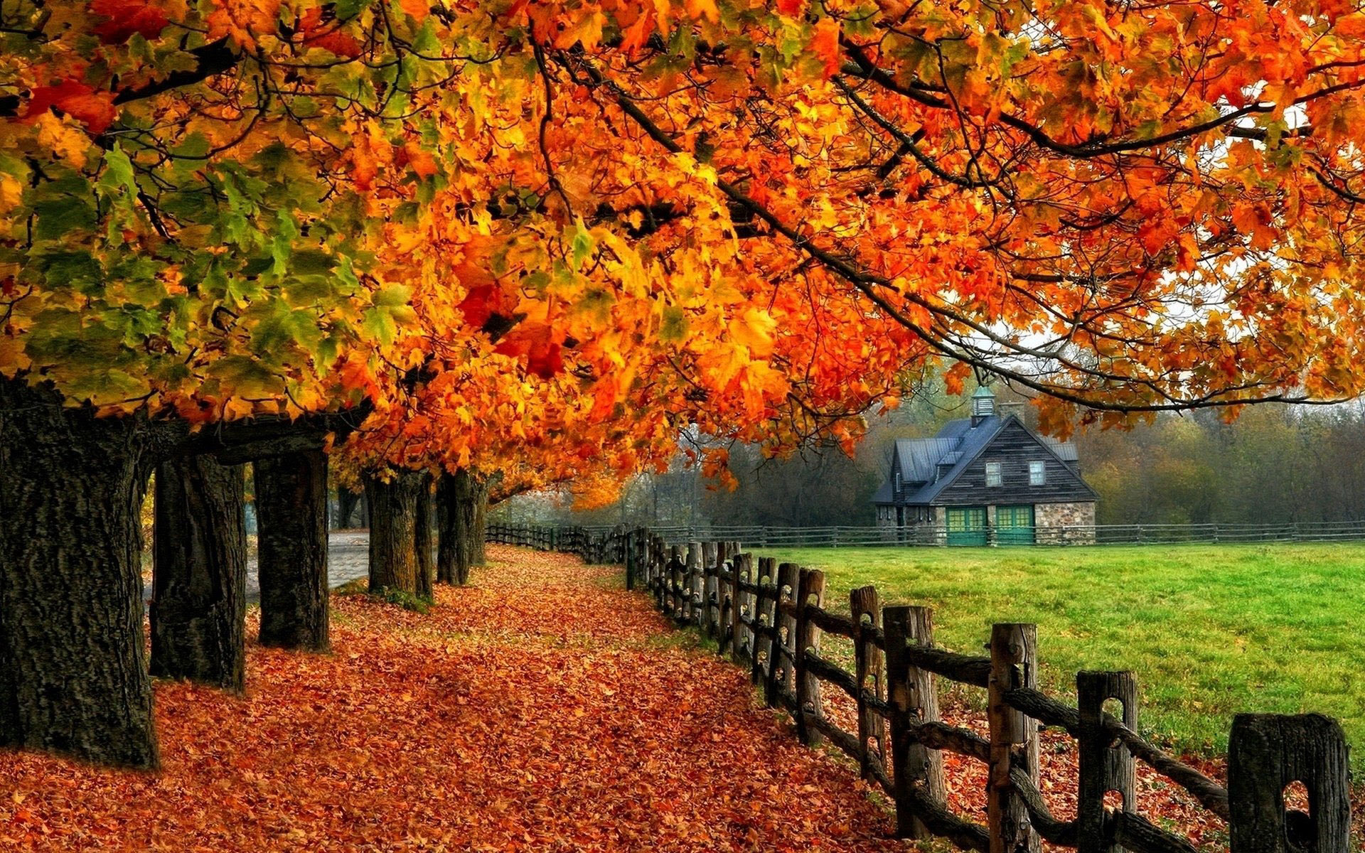 Autumn Wallpaper Examples for Your Desktop Background Autumn Wallpaper Examples for Your Desktop Background