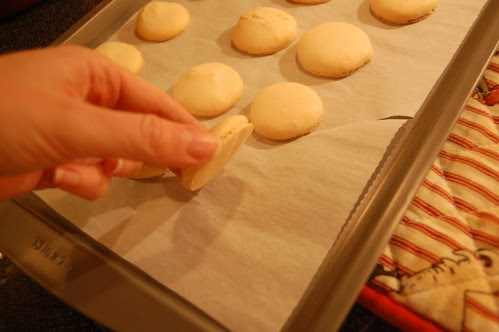 Macarons 27