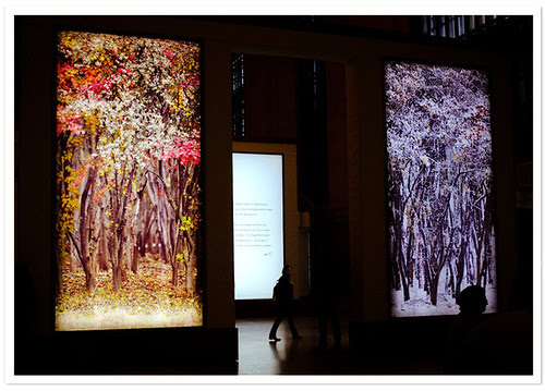 Ahae Exhibit