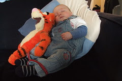 Thomas and Tigger napping