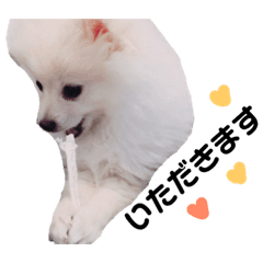 ぺるち Lineスタンプ Lineスタンプマニア クリエイターズスタンプ