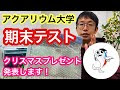 [最も選択された] アクアリウム プレゼント 199273-母の日 プレゼント アクアリウム