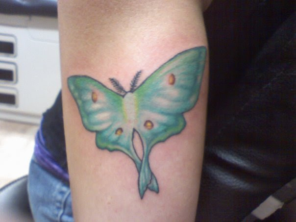butterfly tattoo