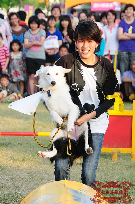 寵物攝影：2010高雄有狗搖擺寵物嘉年華：Momo狗也有身分證囉～ @ 架空馬戲團 :: 痞客邦
