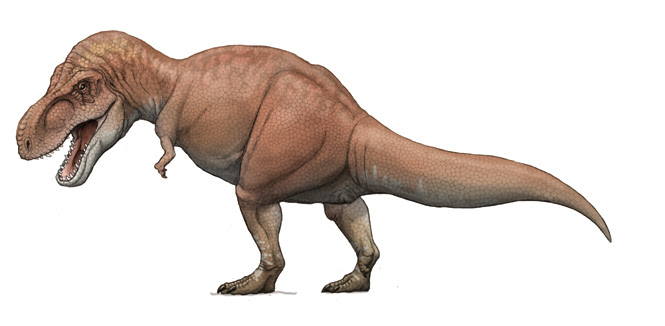 ティラノサウルス Tyrannosaurus 川崎悟司イラスト集