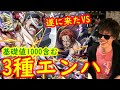 【ベストコレクション】 白ひげ シャンクス トレクル 300434