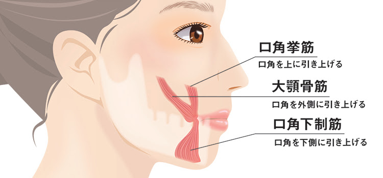 口角挙上 Venus Beauty Clinic 新宿 銀座
