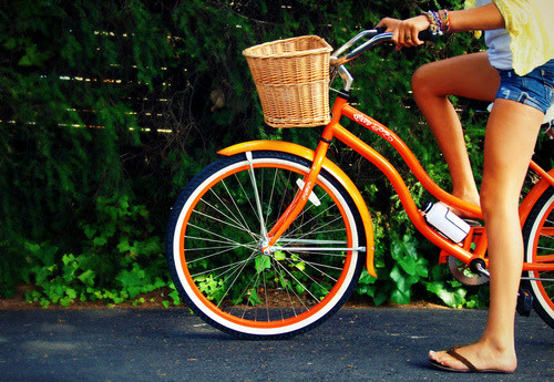 Treadmill, Cross-Trainer or Exercise Bike: How to Choose?